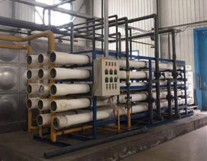 每小时30吨双级纯化水设备
